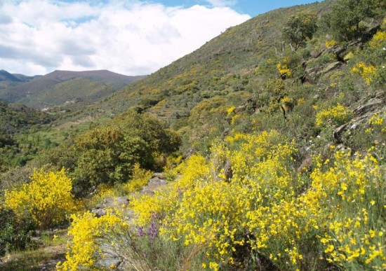 Ruta senderismo San Esteban de la Sierra – Valero en Salamanca