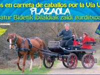 Paseos en carreta de caballos por la vía verde de Plazaola en Navarra