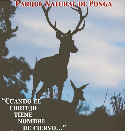 Tras el rastro de la berrea de los ciervos en el parque natural de Ponga en Asturias