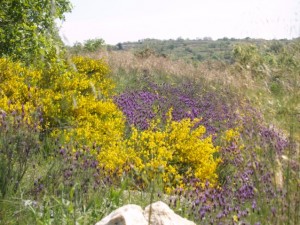 Turismo rural en Los Pajares en Salamanca