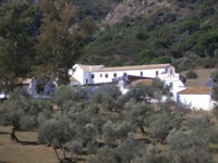 Cortijo Cabriñana en Córdoba