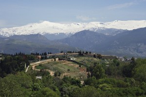 sierra nevada activa