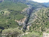 cañón de las buitreras